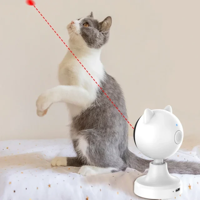 USB Rechargeable Cat Toy - Red Dot Laser for Active Cats - Image 7